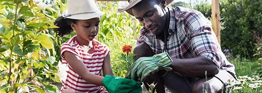 With their green garden gloves, a father helps his daughter plant a flower.